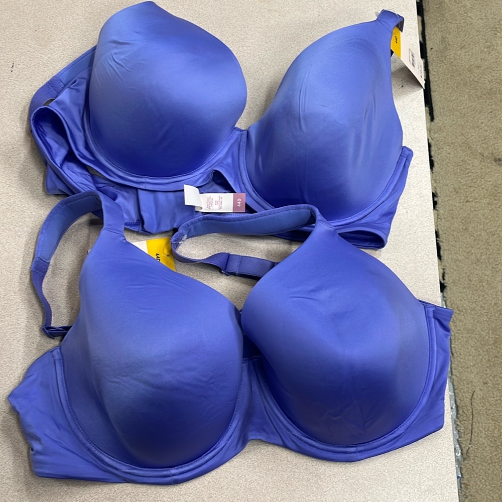 44D bras